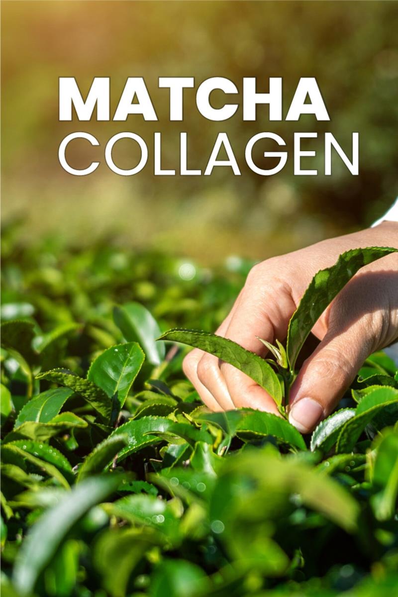 Dermoten Matcha Kolajen (tip 1, Tip 3 Kolajen, Matcha, L-karnitin) 30 X 10.000 Mg Toz Kolajen Nasıl kullanılır öğrenin ve  kullanıcı yorumlarına gözatın.