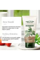 Skinfood Yüz Temizleme Köpüğü - Vege Garden Cleansing Foam Mugwort 150 ml 8809427869915 Nasıl kullanılır öğrenin ve  kullanıcı yorumlarına gözatın.