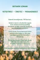 Yves Rocher Pure Menthe- Gözenekleri Derinlemesine Arındıran Siyah Nokta Karşıtı Kömür Maske - 75 ml Nasıl kullanılır öğrenin ve  kullanıcı yorumlarına gözatın.